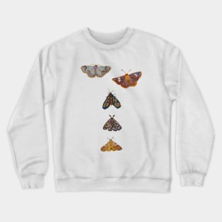 Sigils and Moths Watercolor Crewneck Sweatshirt